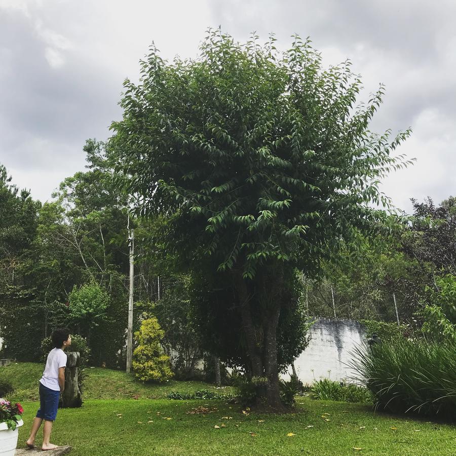 Pousada Recanto Castelinho Campos do Jordão Exteriér fotografie